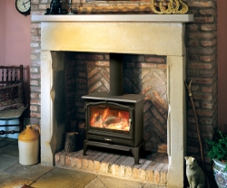 Esse-100 wood stove